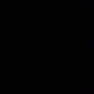 Meet your Posher, Will